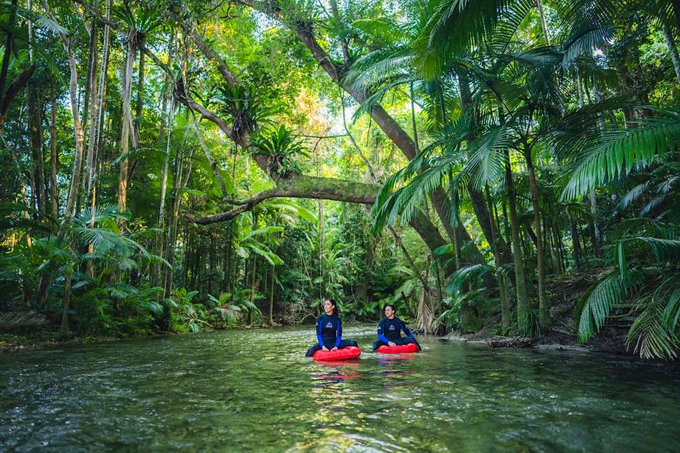 The Daintree